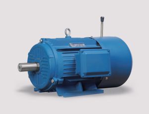 大速制動(dòng)電機(jī)YEJ2系列