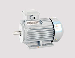 YE3 系列超高效三相異步電動機(jī)